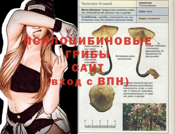 прущие крисы Алексеевка