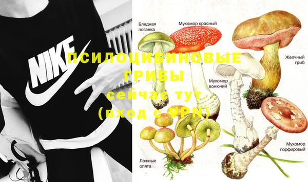 амф Алзамай