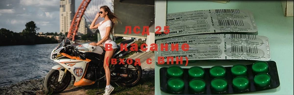 амф Алзамай